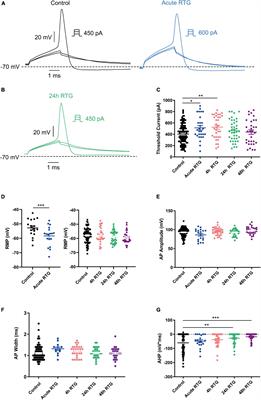 Excitatory and inhibitory hippocampal neurons differ in their homeostatic adaptation to chronic M-channel modulation